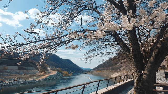 韩国风景图片(韩国首尔风景图片)