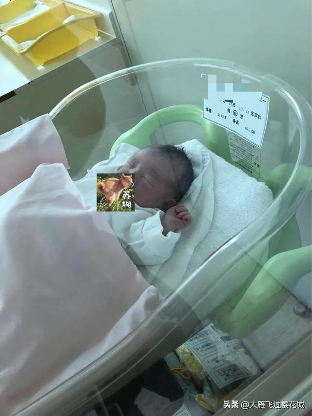 日本生孩子补贴多，我不但没掏钱还得钱了