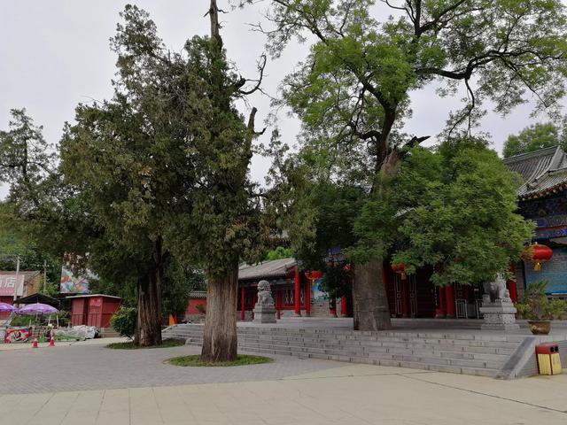 悟 或与 不悟