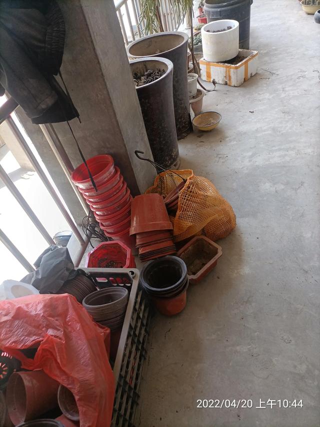 生活随笔记