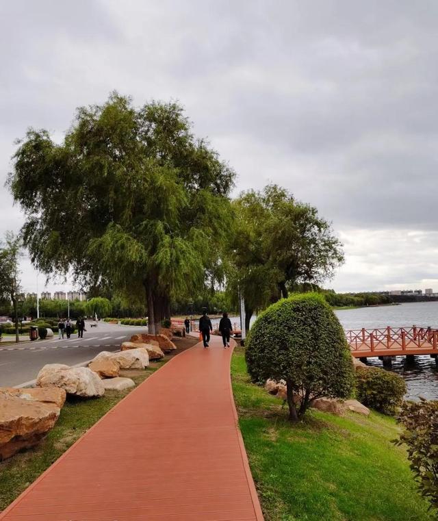 如何与孩子共同践行行万里路，读万卷书