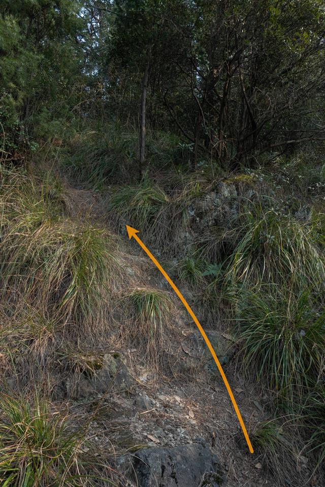 杭州登山徒步路線17：野路有趣，但不建議盲目去爬