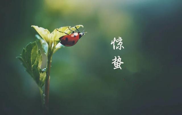 散文：惊蛰，春雷始鸣，淡美人生岁月