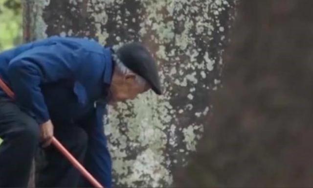 山东老人信守诺言，为抗日无名英雄守墓长达74年，92岁时奇迹出现