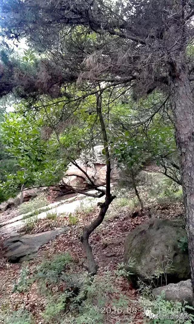 蓮花山：小泰山確非浪得虛名