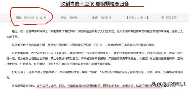 天价收购小麦青储真相大白，养殖户临时应急，大食品安全有保障