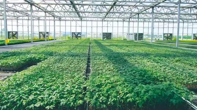 全运惠民工程成果展