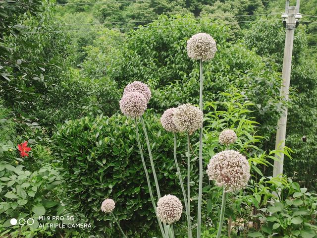 走進秦嶺大山，方悟出生命的源頭恰在山水間
