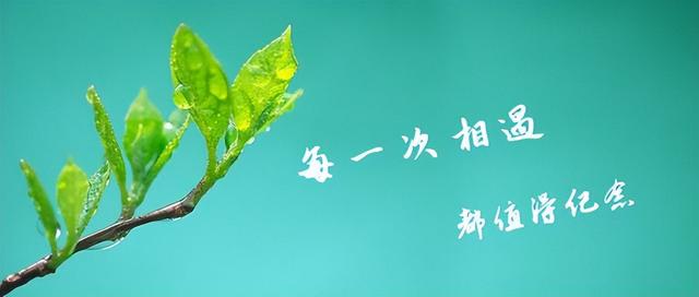 自我清醒，自我接纳，自我强大，自我释怀