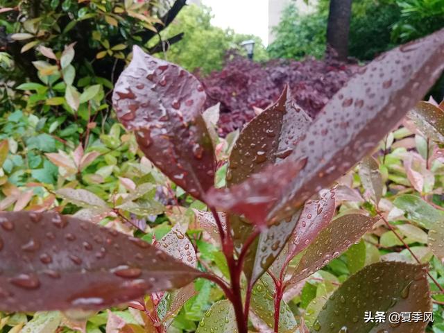 疫情对国家来说坚决不能躺平，对个人来说要怎么办？