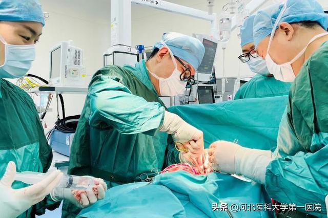 河北医大一院人用劳动和奋斗，奏响新时代劳动者之歌