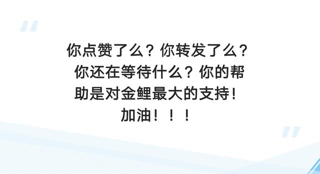 都知道黄金每年元旦前后是高价，可是为何不知道现在是机会