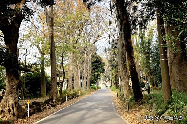 德村志成：落葉殘楓依然美麗，久違北小金本土寺