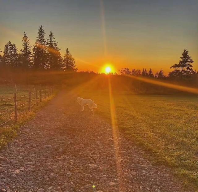 [苹果快乐星球语音群发]，微信怎么上传动态图到朋友圈