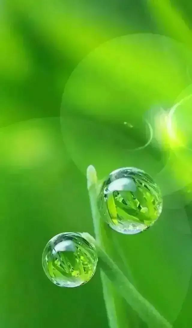 既然选择了，就不要轻易放弃，要记得当初选择的时候