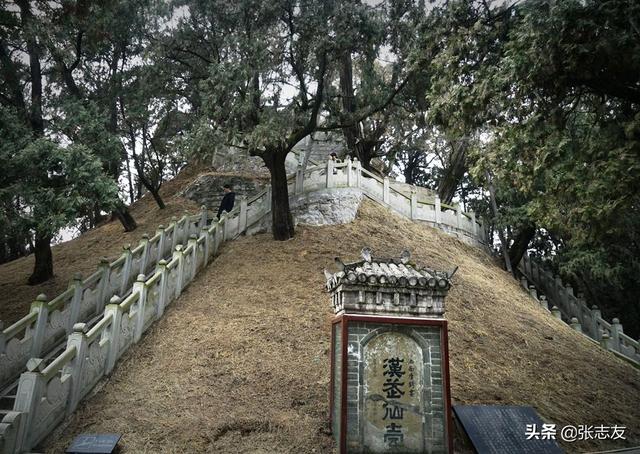 https://blog.sina.com.cn/s/blog_95b83d1401030le6.html