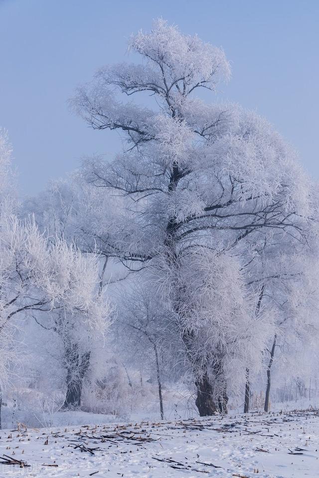 2月最佳旅行目的地，对的时间就去对的地方