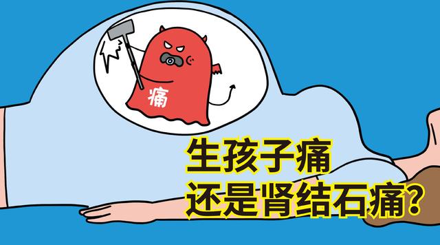 结石？送你三味中药，一排石，一化石，一清热
