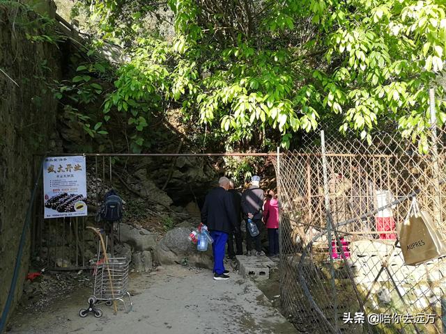 旅居D16-坡月之東