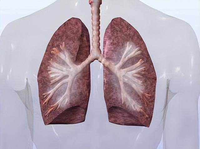 吸烟的人，早上起床后若没有这3种“不适”，说明你的肺还算干净