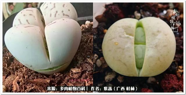 桂林滚筒式洗砂机厂家