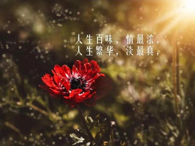 励志语录 生活其实没那么难，难的是你自己