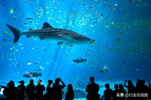 陈展工程设计收费标准