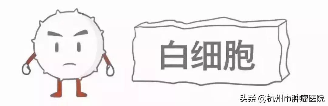 一年之計在于春，健康體檢正當時，其中這項檢查報告你看懂了嗎？