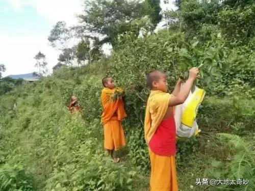 佤邦現狀，帶你看看真實的佤邦