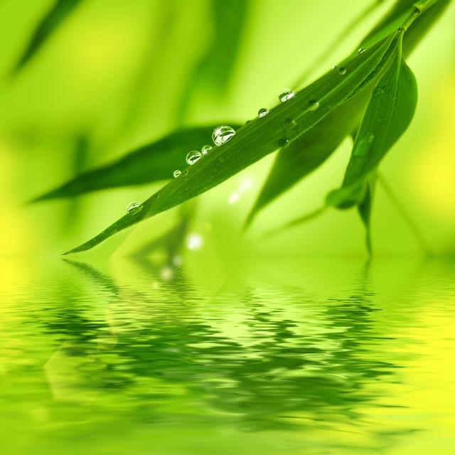 散文诗：种入生活的叶子，只要浇足够的水，一定能长出想要的期待