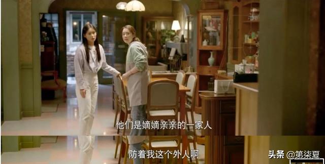 电视剧《心居》：一部照进现实的电视剧