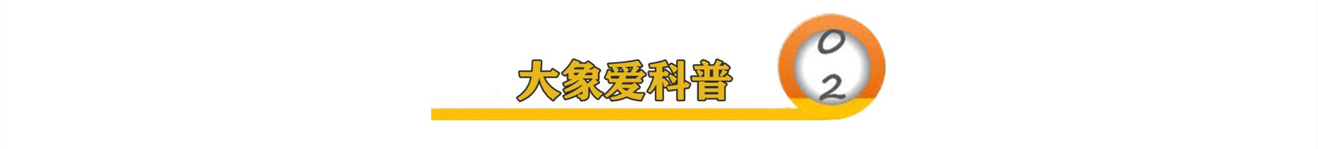市场份额下跌近20%，滴滴预计裁员20%，被裁或领不到去年年终奖
