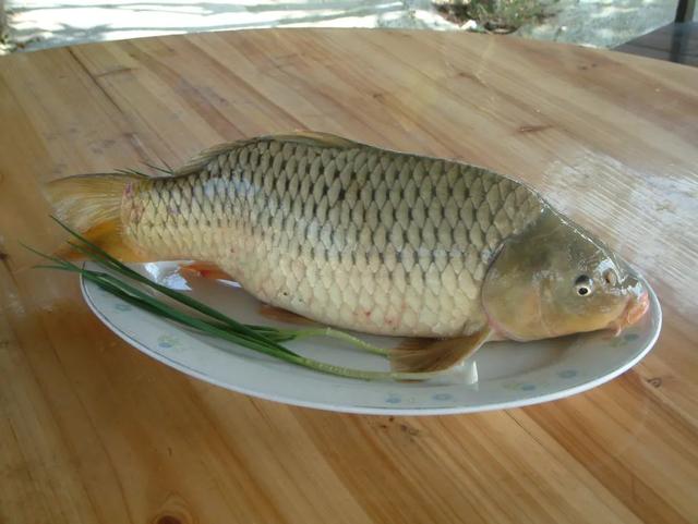 麦溪鲤 麦溪鲤（买洗脸盆304不锈钢角阀） 美食