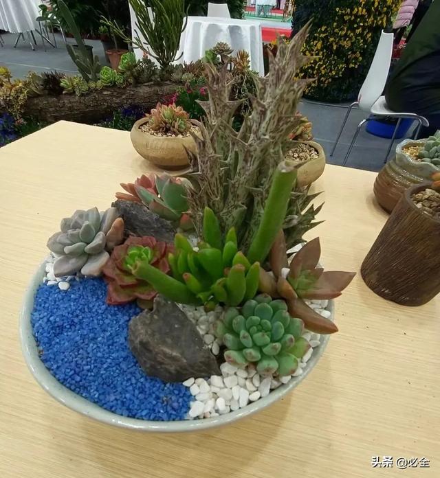 进口园林机械展