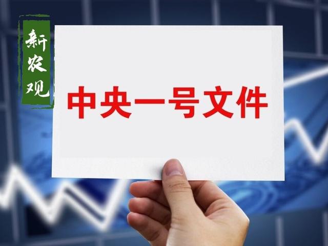 一号文件发布，全文近万字！关于生猪养殖，释放了这些信号