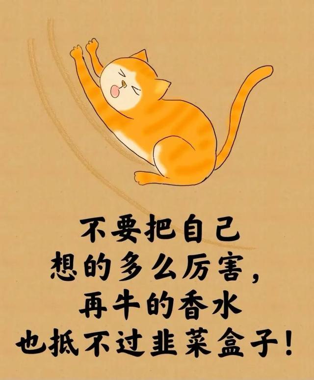 所谓的人生就是⋯