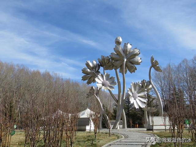 在布達拉宮後面的宗角祿康公園看水鳥能讓您忘記所有的煩惱