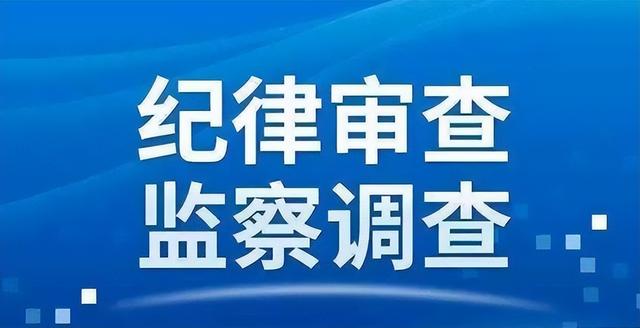 宜兴市通协混凝土有限公司原总经理陈泽接受纪律审查和监察调查
