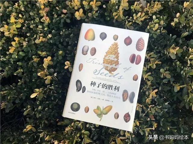 10本植物科普书籍推荐，让孩子在家也能探索大自然的奥秘