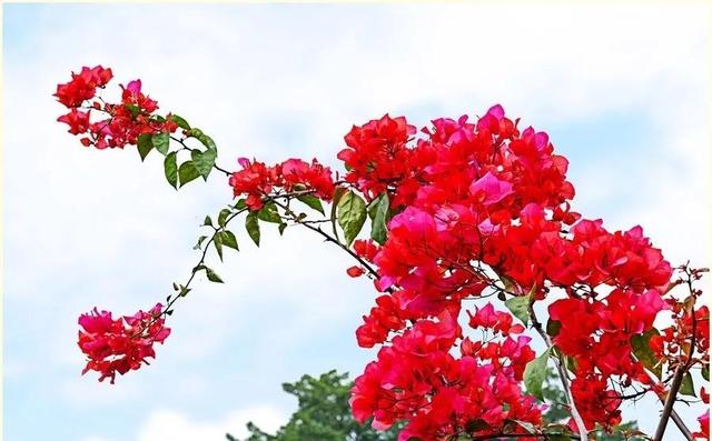 老子•德道经》阴阳和谐，“夫两不相伤，则德交归焉”