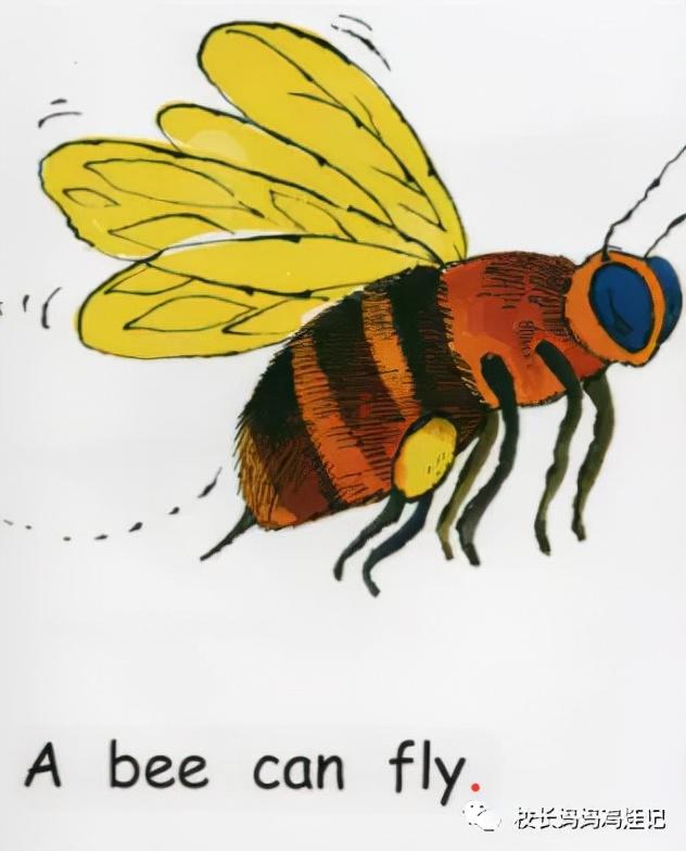 研究了小学和初中的英语教材，发现这难度也差太多了