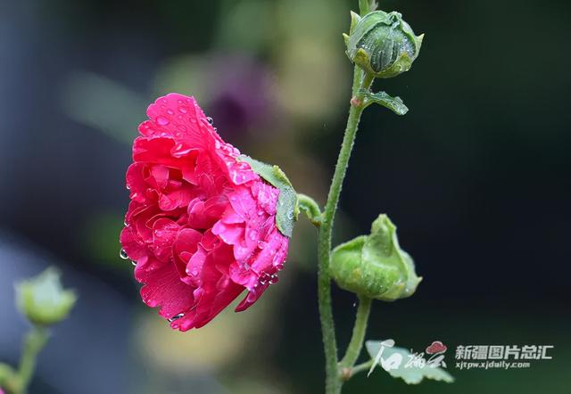 2月19日 今日雨水 新闻时间