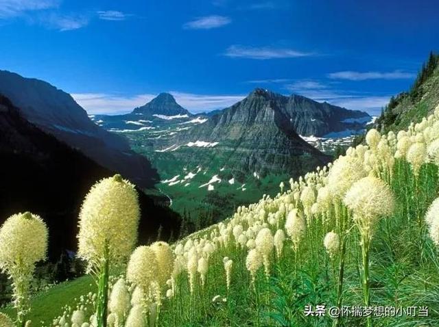 无限聊天的交友软件(去哪里找免费的聊天交友软件)
