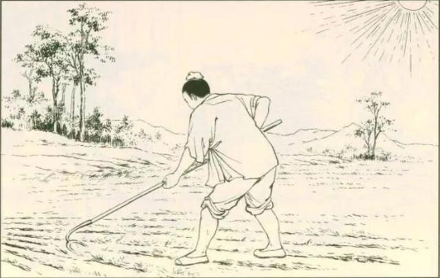 仙王重归小说txt全集下载(无上神帝仙王觉醒重归万界巅峰)