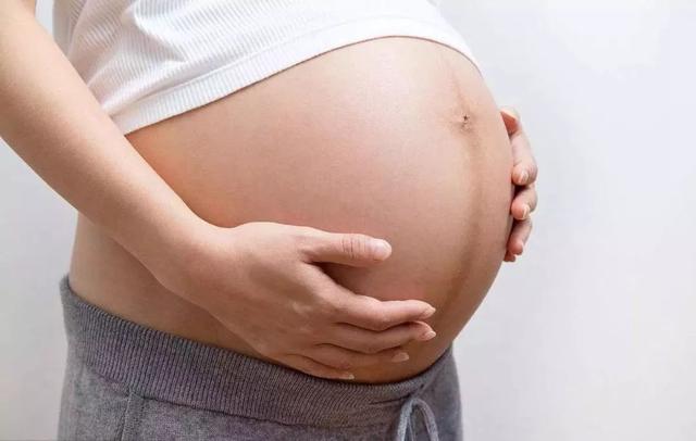 《怀孕5个月胎儿图怀孕5个月胎儿图片怎样分辨男女》