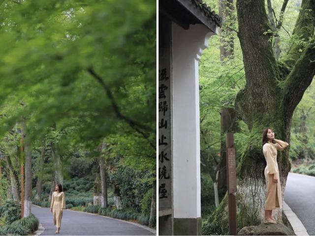 两位小姐姐花光积蓄，开了家10个房的民宿，每天花式宠客