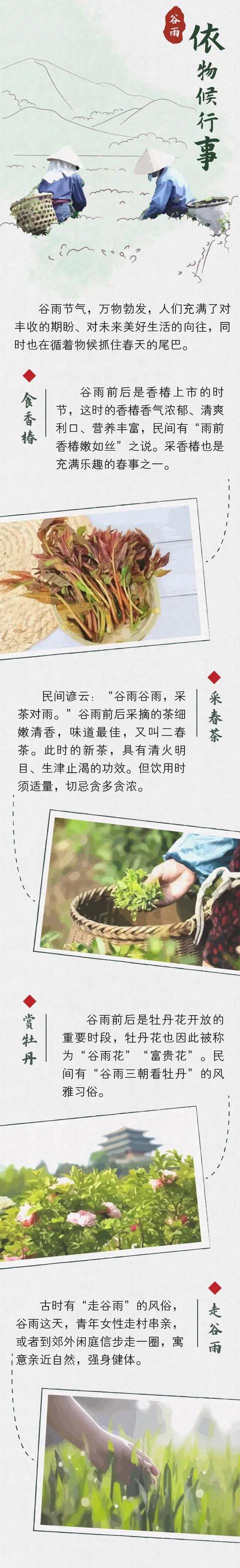 谷雨：用耳朵抓住春天的尾巴
