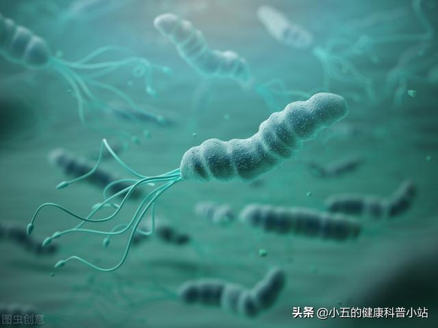 得了慢性萎缩性胃炎不可怕，科学使用4类药物，积极预防病情发展