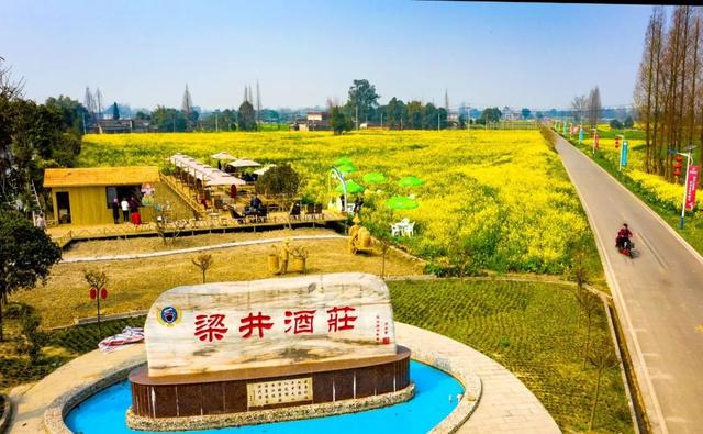 崇州田园花海“诗”会，等你来