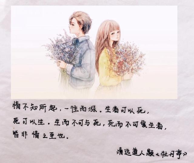 靠抄书逆袭的宝妈情不知所起一往而深 新闻时间